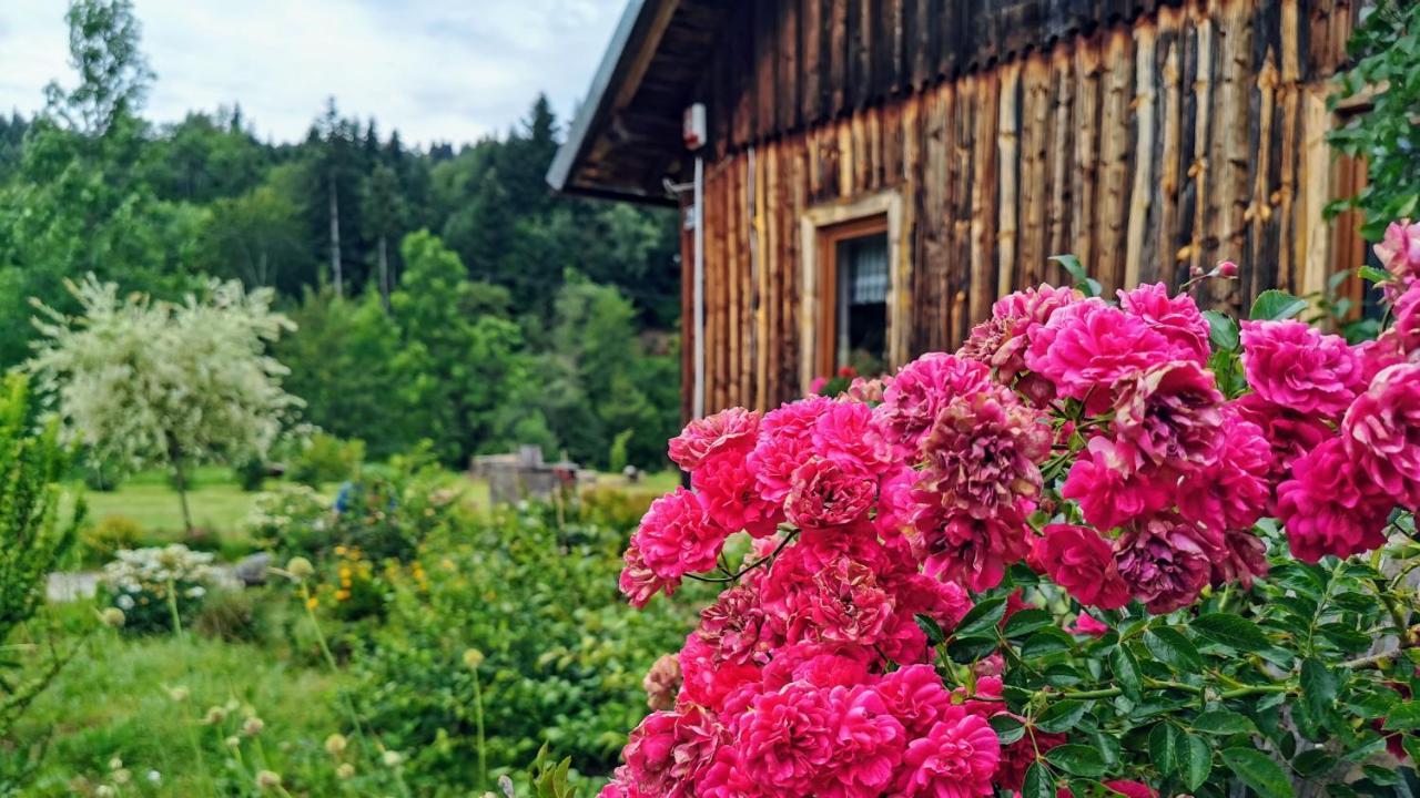 Wies Odnowa Лабова Экстерьер фото