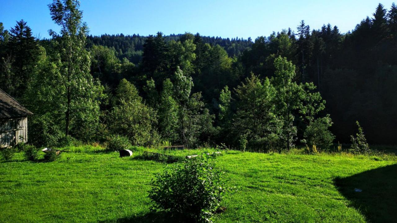 Wies Odnowa Лабова Экстерьер фото