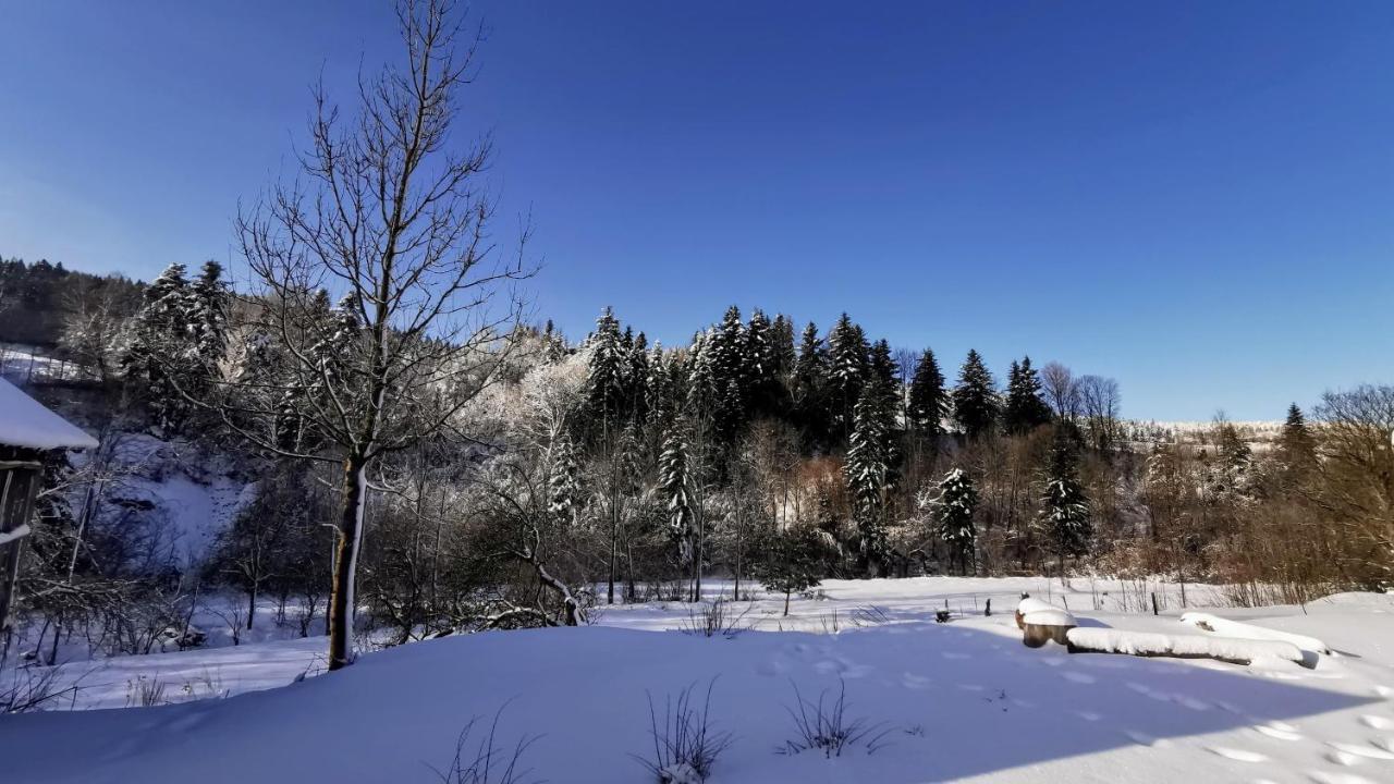 Wies Odnowa Лабова Экстерьер фото