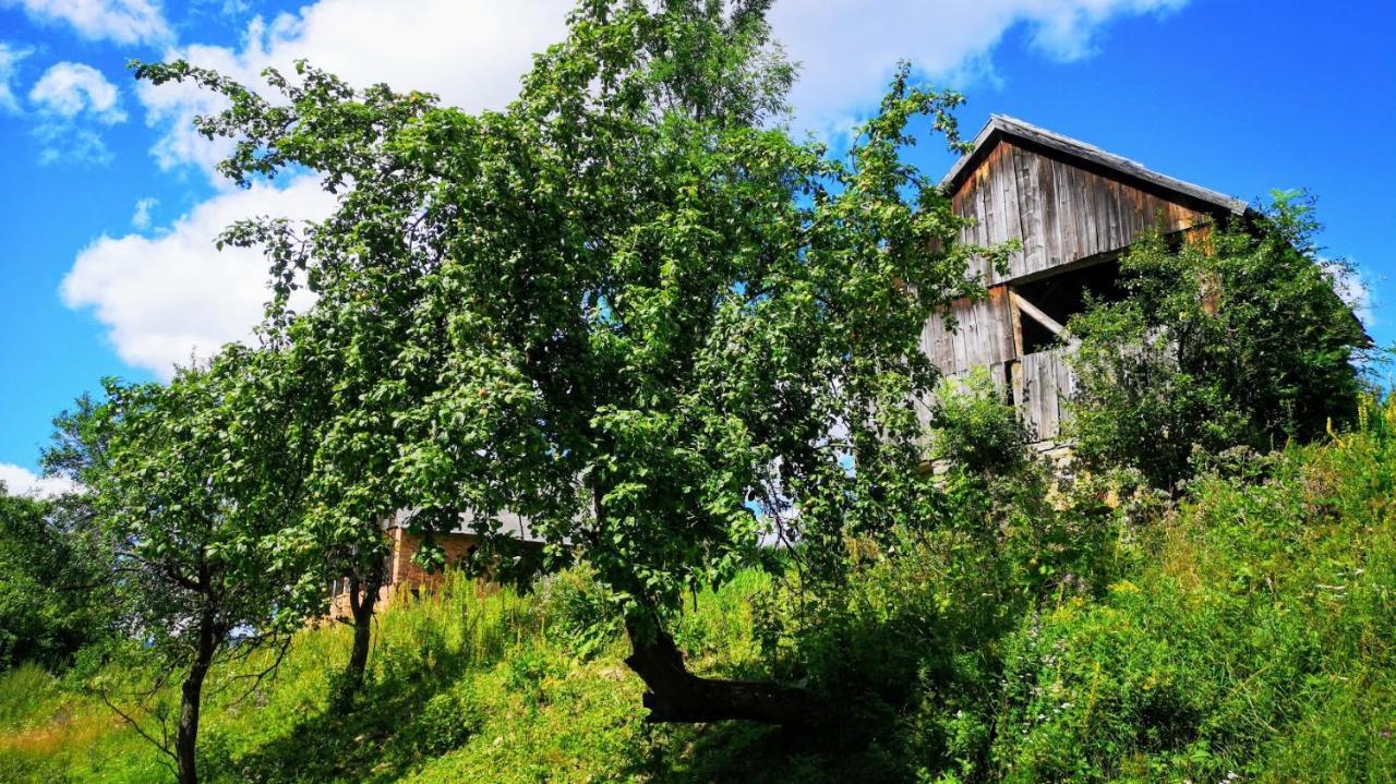 Wies Odnowa Лабова Экстерьер фото